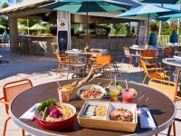 Gulf Coast Oasis Pool Bar